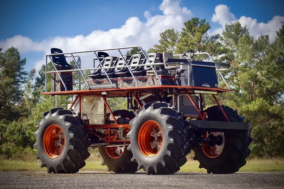Buggy pic.webp