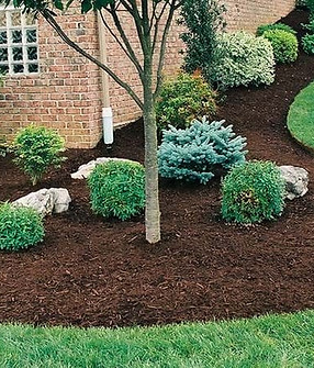 Shields Lawn Care Elizabethton,TN | Mulching
