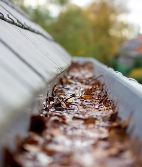 Shields Lawn Care Elizabethton,TN | Gutter Cleaning