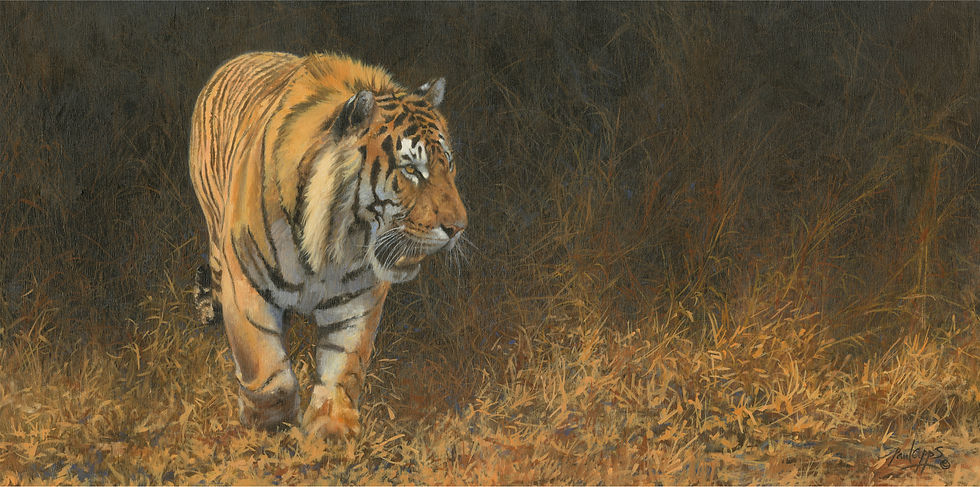 Breaking cover stitch-1 Affinity crop.jpg