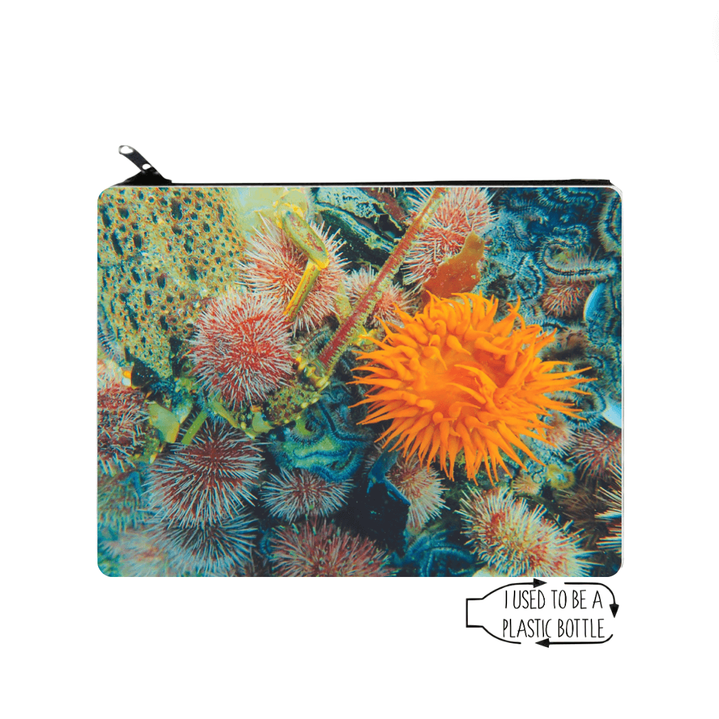 Small Zipper Bag - Jubilant Orange