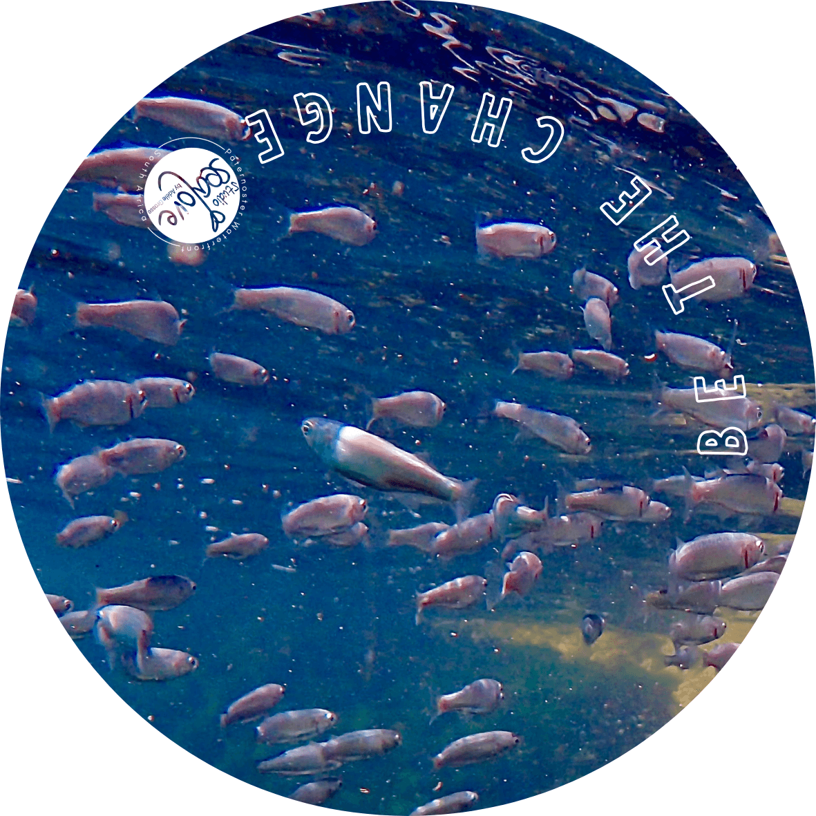 Coaster -Be The Change