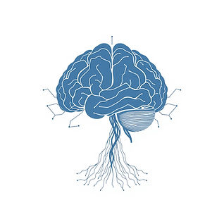 Abstract line art of a human brain made of geometric circuits or roots.jpg