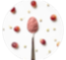 hWe6WU7MQc6Em5CgTNFC_biofruit.png