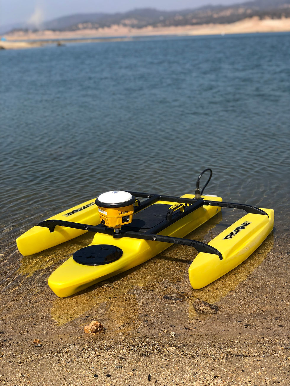 TriDrone