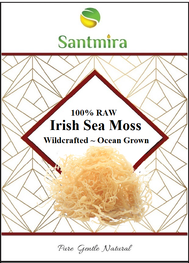 Thumbnail: Irish Sea Moss 100% Pure Raw Organic WildCrafted ~ Ocean Grown Chondrus Crispus