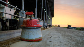 feed pusher at dairy
