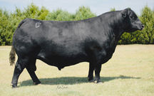 Baldridge Alternative E125_18837398_KatieEdwards_Aug 2020.JPG