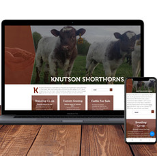 Knutson Shorthorns Website