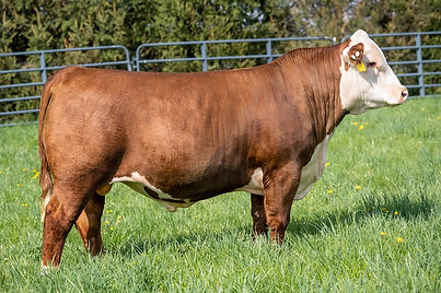 STGenetics_S_Mentor22023ET_DSC_8075.jpg