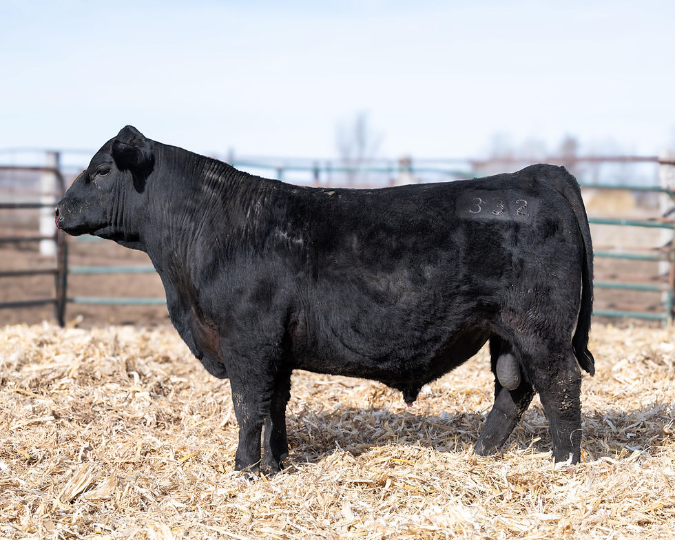 Thumbnail: RM Growth Fund 332