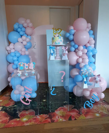 Sex reveal exclusive decoration