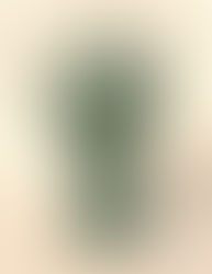 Poésie et Maebyeong - Alcools traditionnels coréens. Par Pierre Cambon