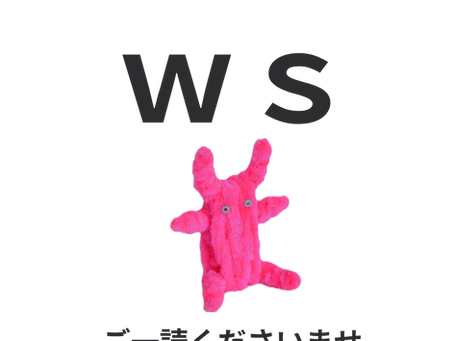 WSのご注意事項です