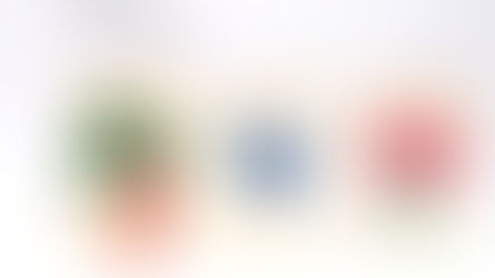 2025年個展「コンニチハリコ」