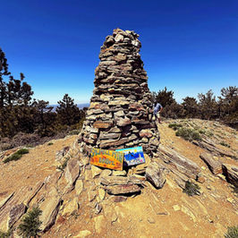 Los Padres National Forest