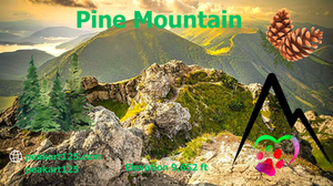 Pine Mountain