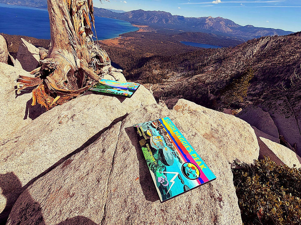 Beautiful South Lake Tahoe