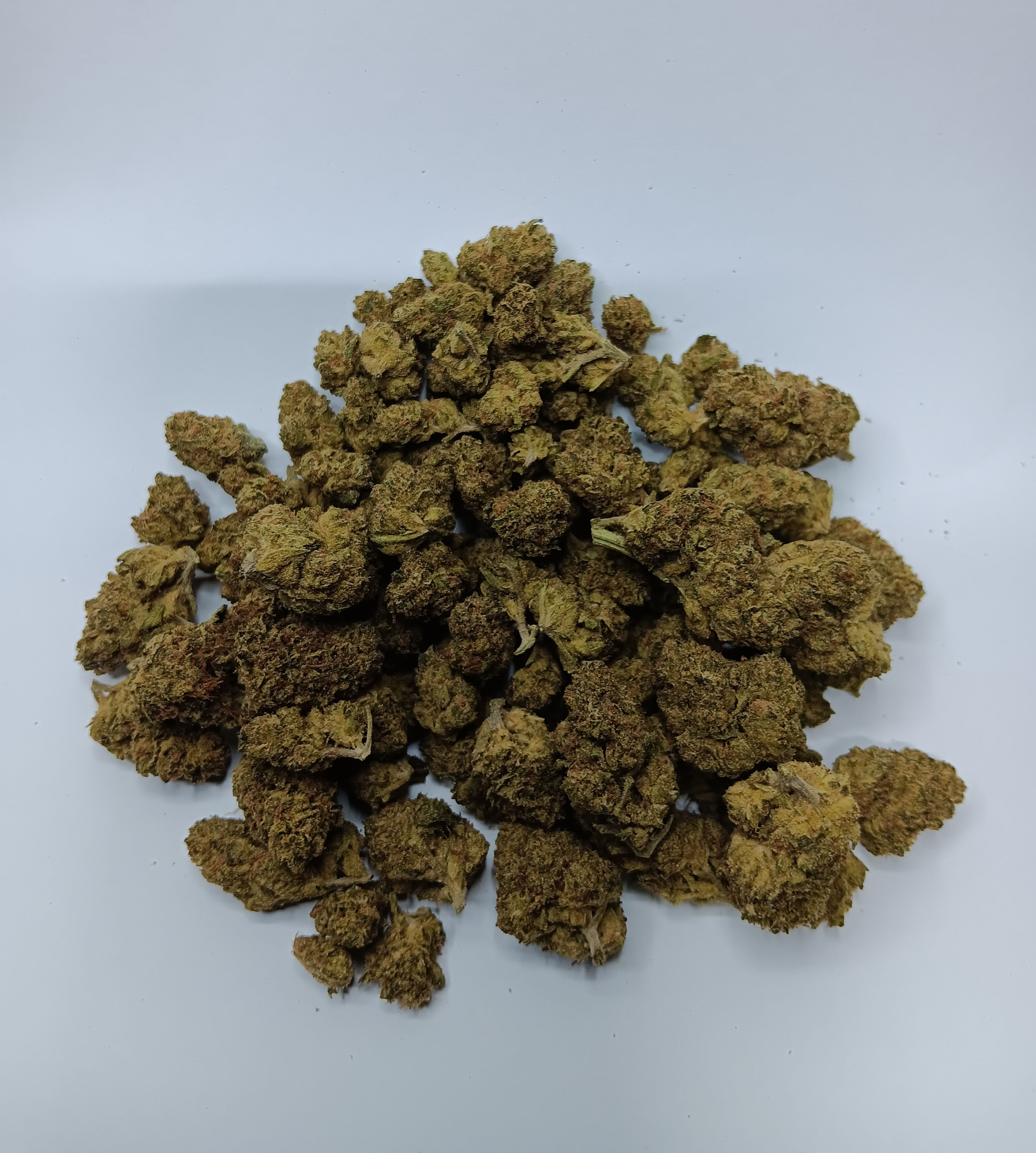 Ice Cream Cake (OK, Indoor)