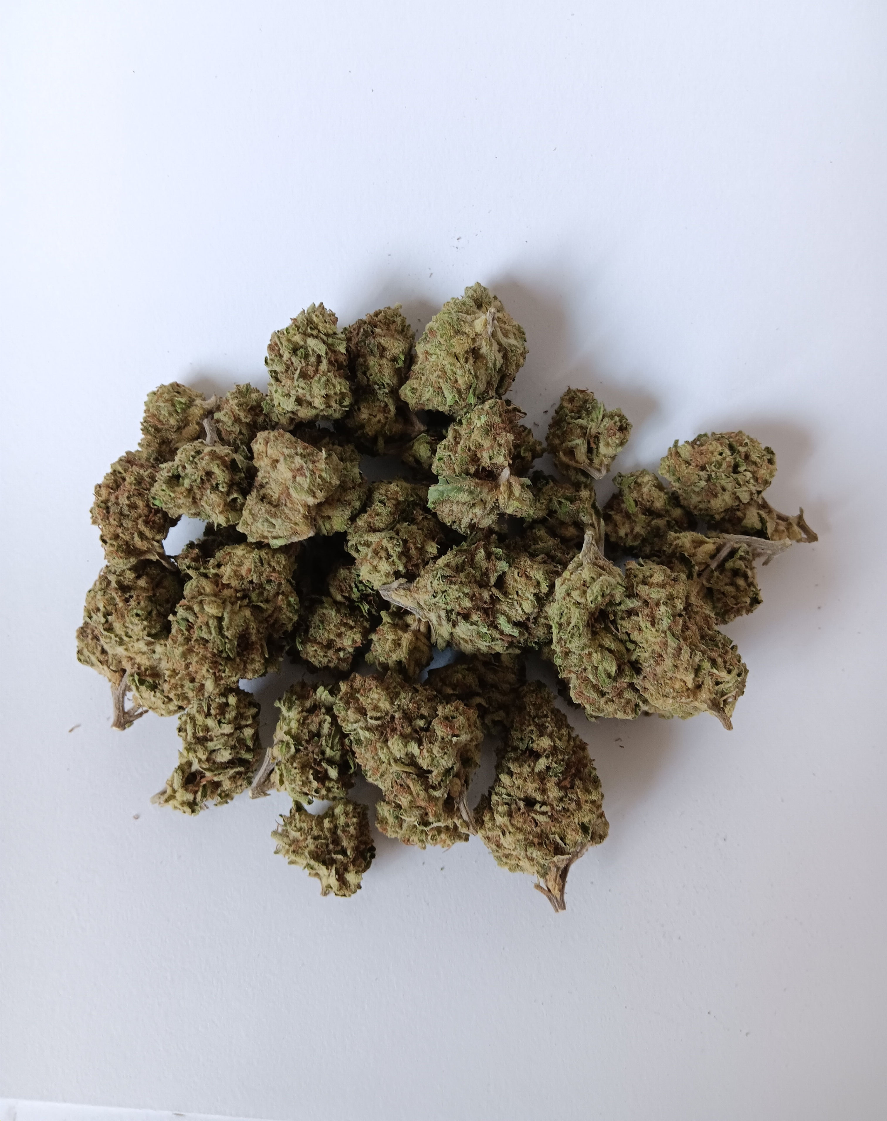 Banana Punch (BBF/SoCal, Indoor)