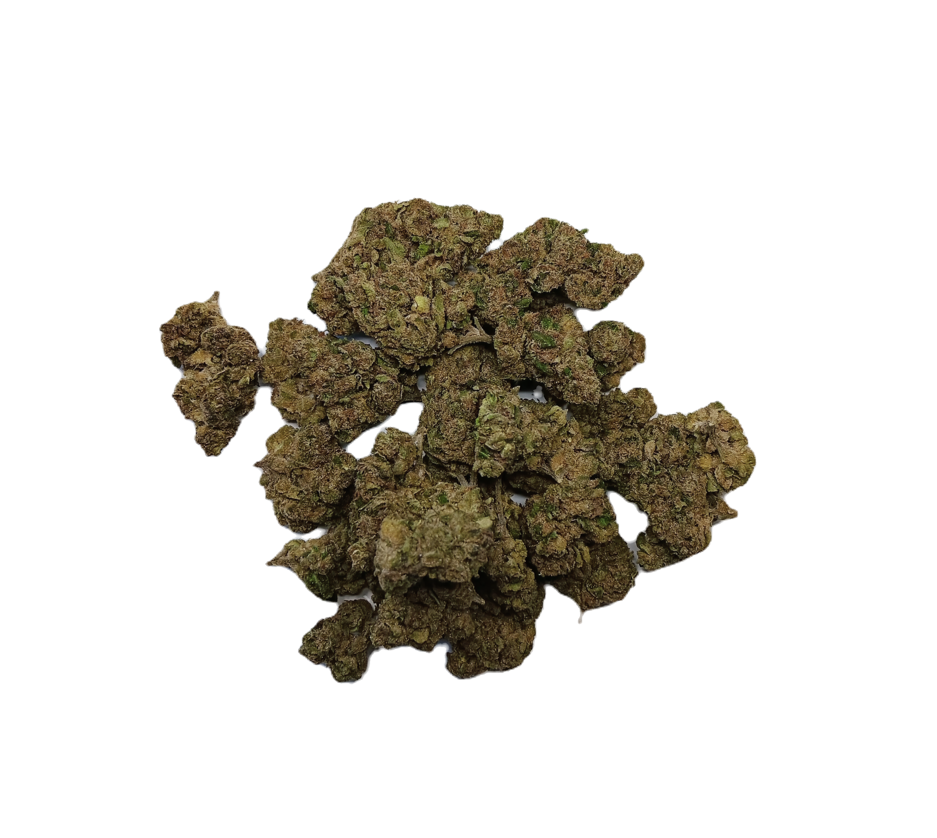 Tangie Gas (BBF/SoCal, Indoor)