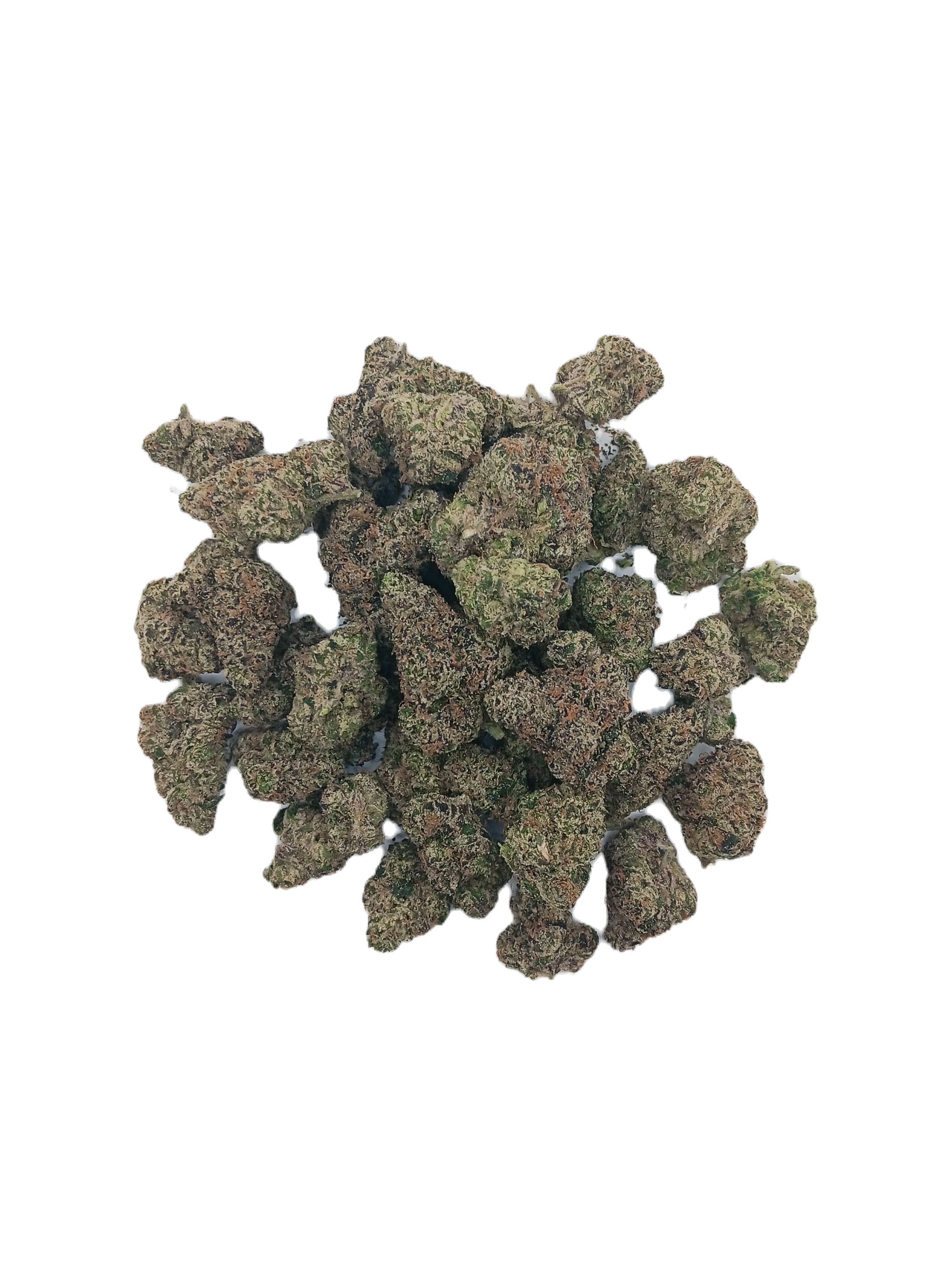 Black Lemon Cherry Gelato (OK, Indoor)