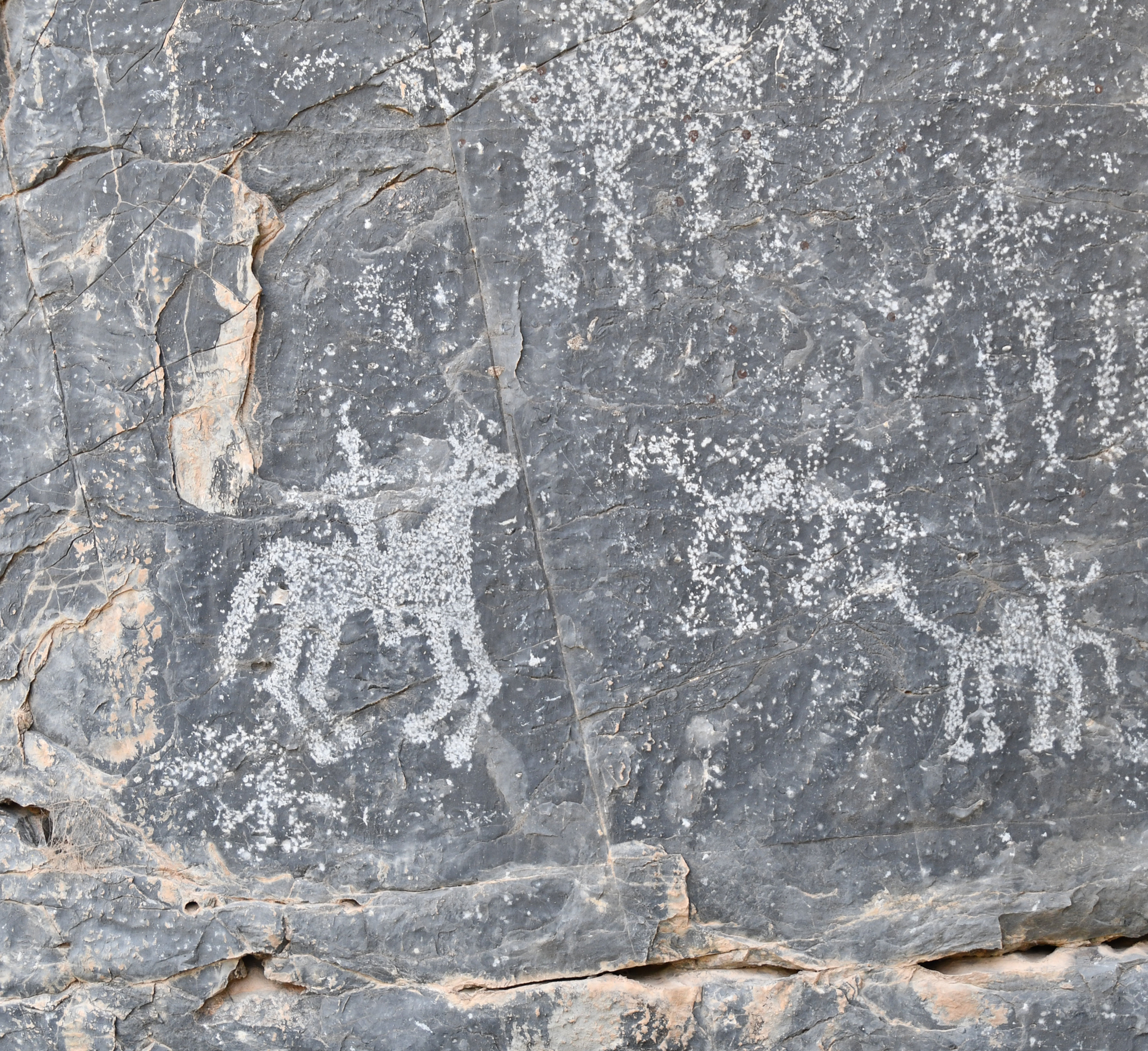 EXPLORE OMAN GEOLOGY