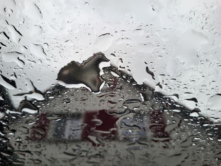 12 von 12 im Februar 2026