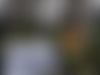 Erneute Sicherungsmaßnahmen an Deichanlage Wathlingen