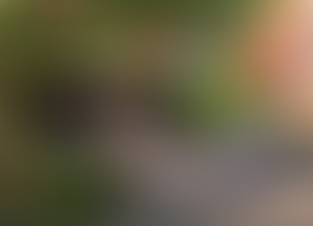 Eldingen wird am Sonntag zum Flohmarkt-Dorf