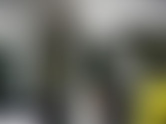 Celler Feuerwehr erneut in der Carstensstraße im Einsatz