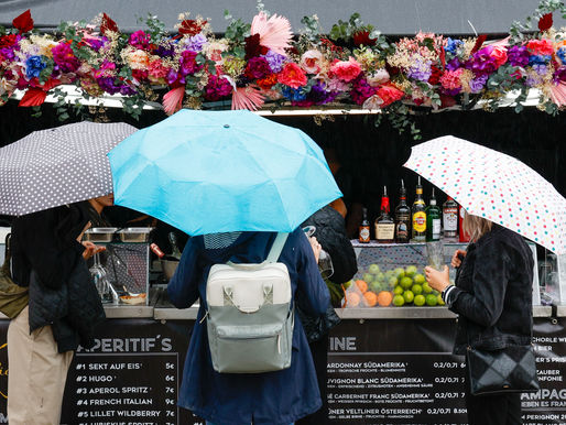 Impressionen vom zweiten Tag des Celler Weinmarkts