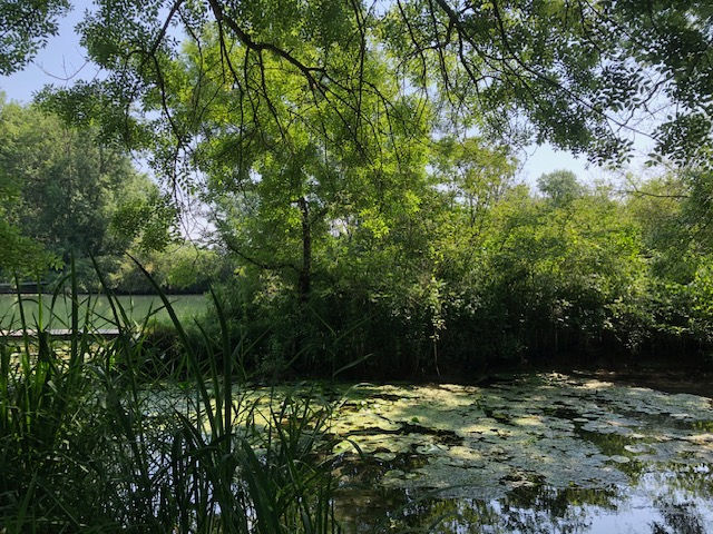 Nature et calme proche du centre ville