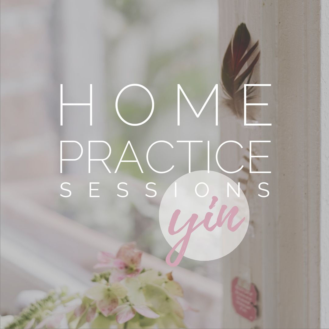 HOME PRACTICE sessions - YIN