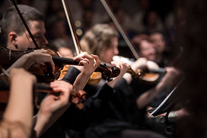 Playing Violins