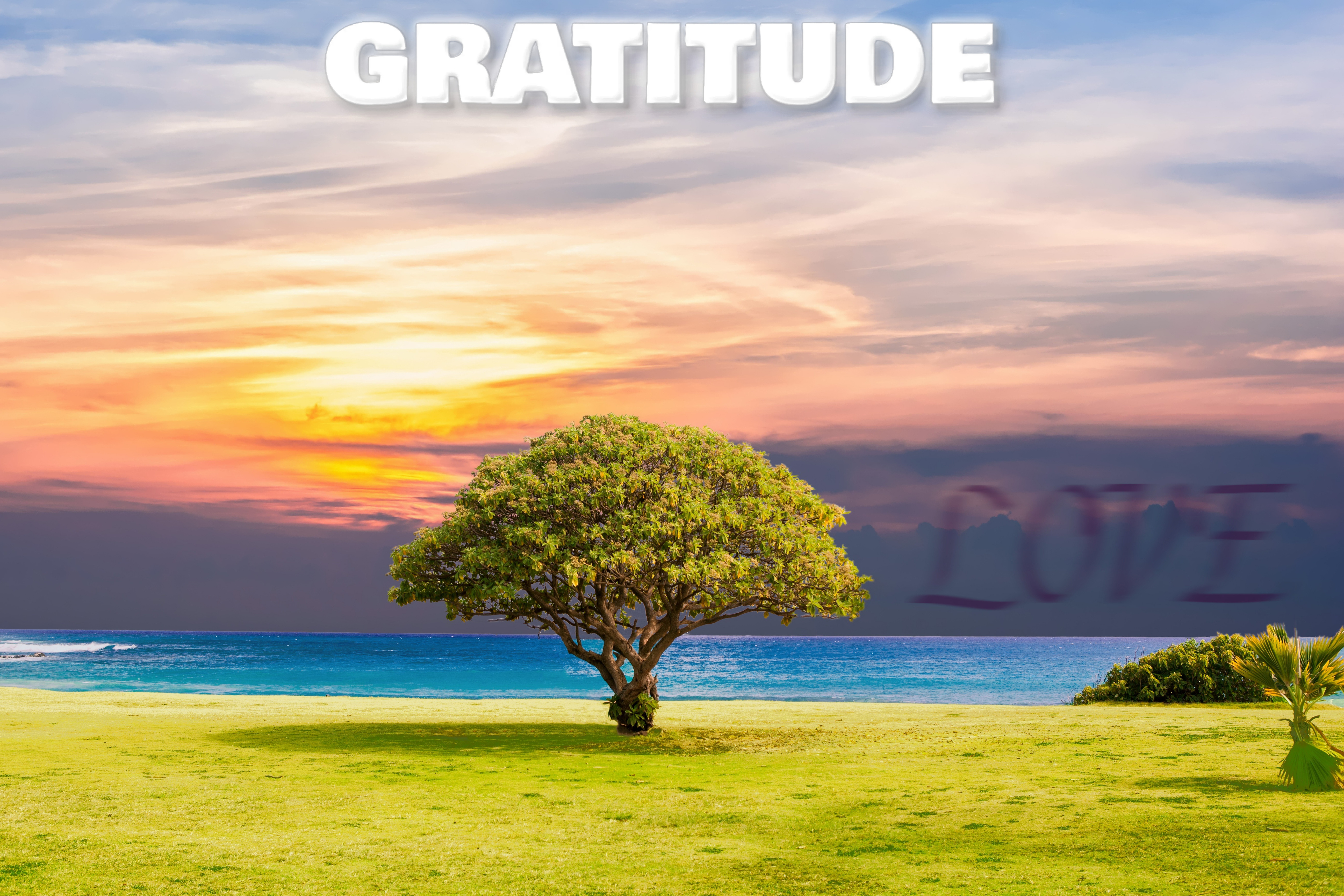 500 Daily Affirmations