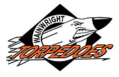 Icon Logo.jpg