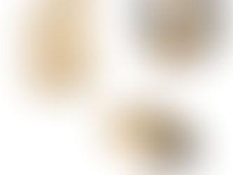 Bolsa Térmica. YORK