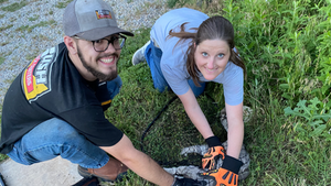 Join Wild Kitty Krew: Volunteer or Foster Today!