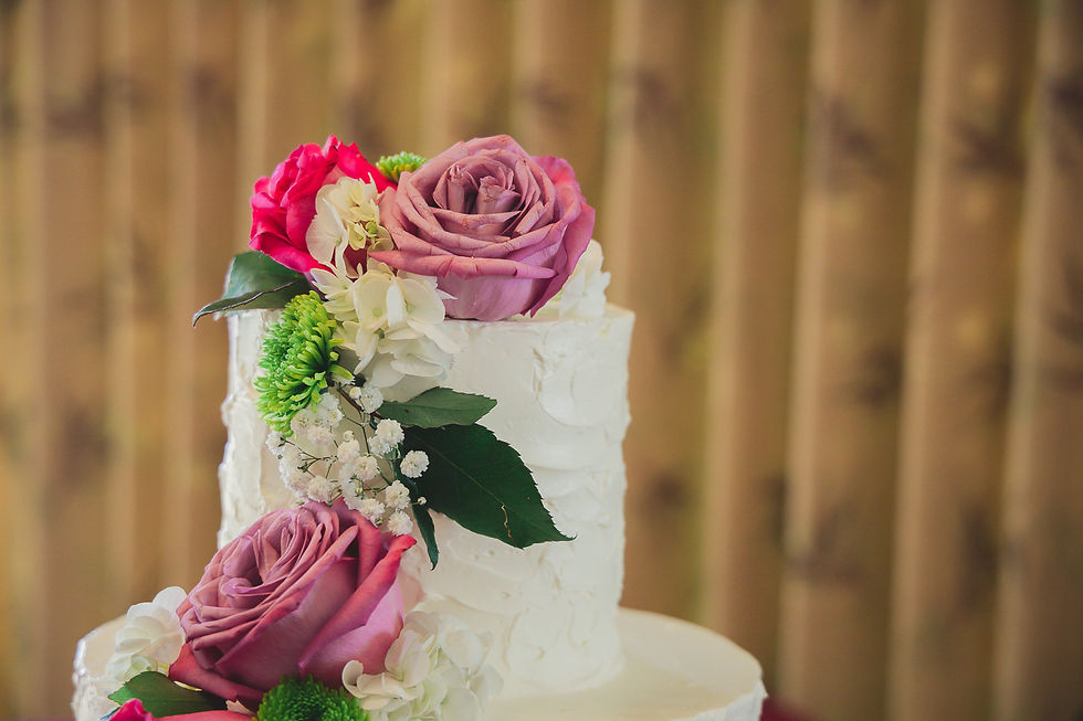 Backyard Wedding at San Clemente 2