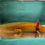 Thumbnail: Tidy Toast (6-7" Copper MALE Subadult)