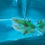 Thumbnail: Forest Shine (3-4" GFP Wild Juvenile)