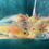 Thumbnail: *PRE- ORDER* GFP Leucistic Juveniles