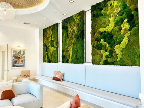 Adult Community Design Based on Biophilic Principles