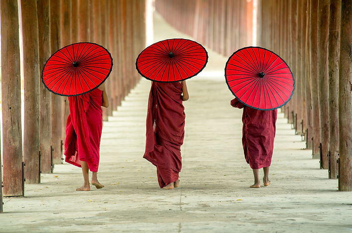 Buddhist Monks with Umbrellas