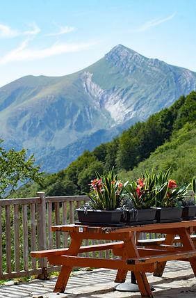 Chalets-Iraty-AM-040.jpg