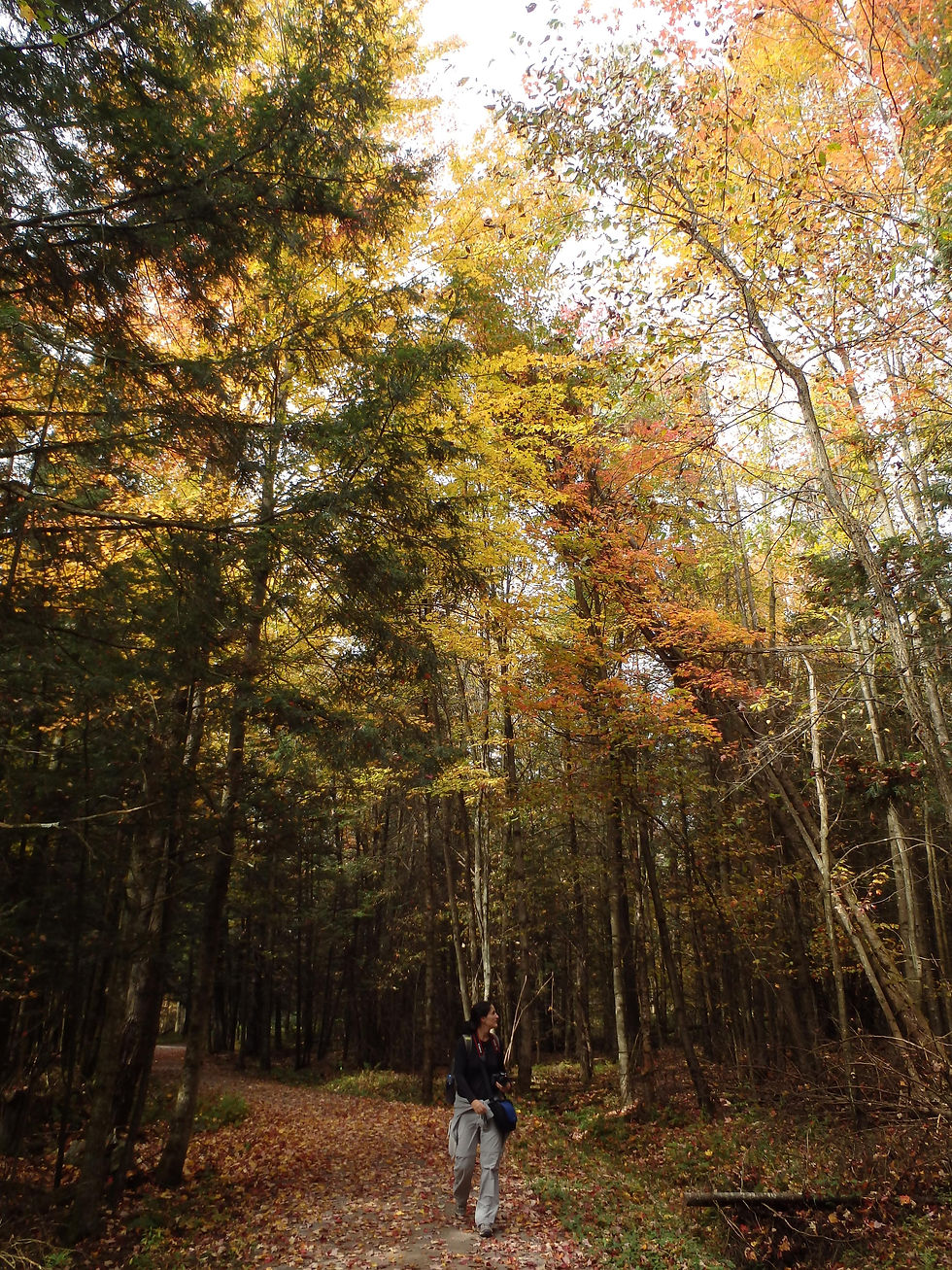 Yamaska National Park