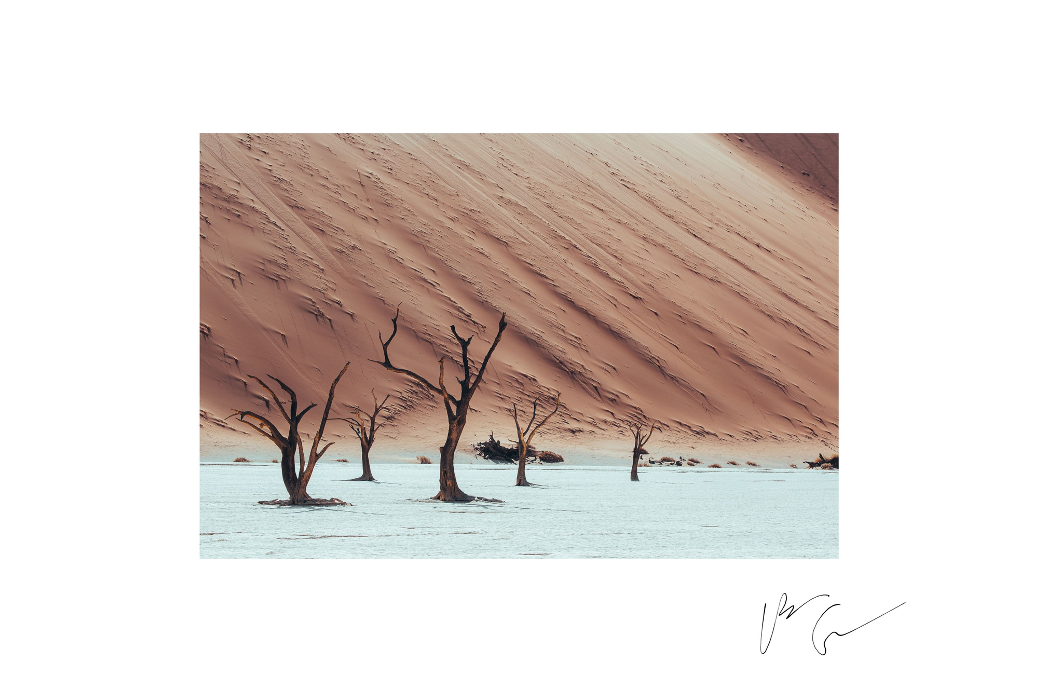 Sossusvlei | 30″ × 45″ 1/1 Signed Print by Patrice Gagnon