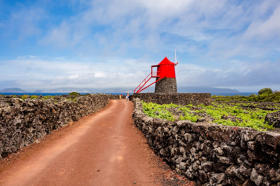 Photo by António Cunha