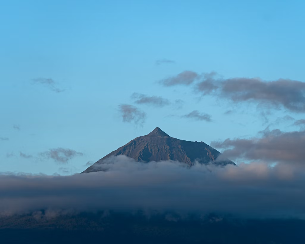 Photo by João Rodrigues